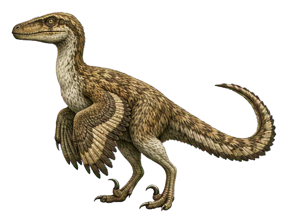 Preview for Feathered Velociraptor Sticker