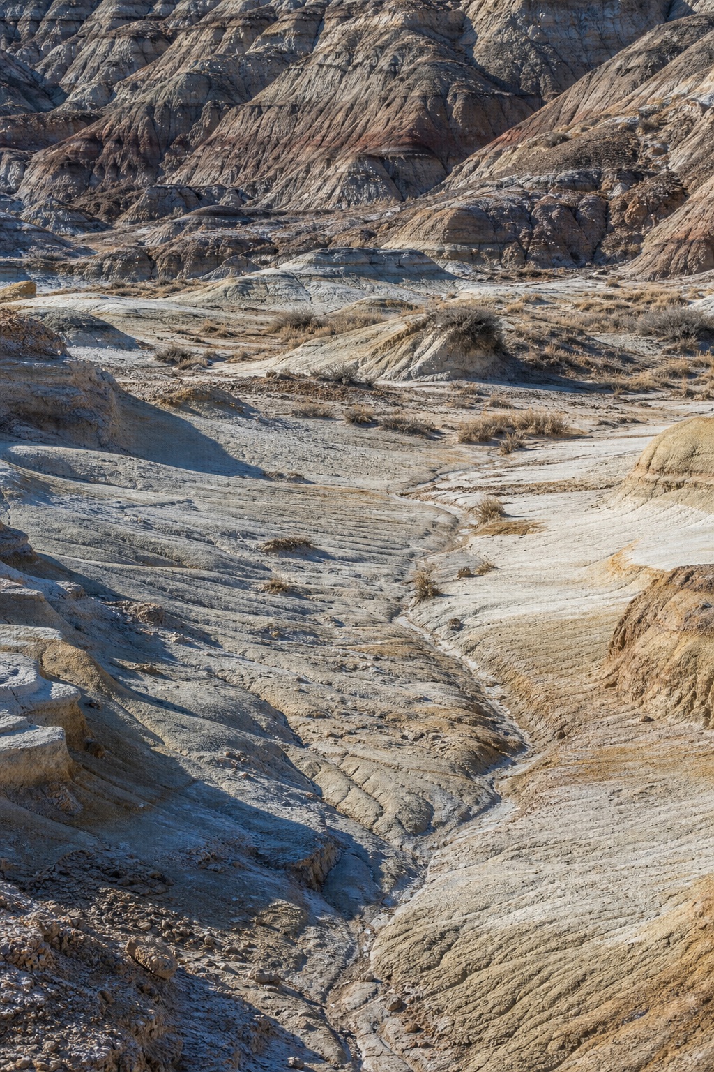 Layered badlands ridges and a wind-cut canyon floor lit by cold winter sun.