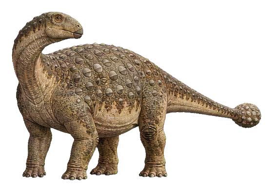 Realistic club-tailed Shunosaurus dinosaur sticker shown in side view.