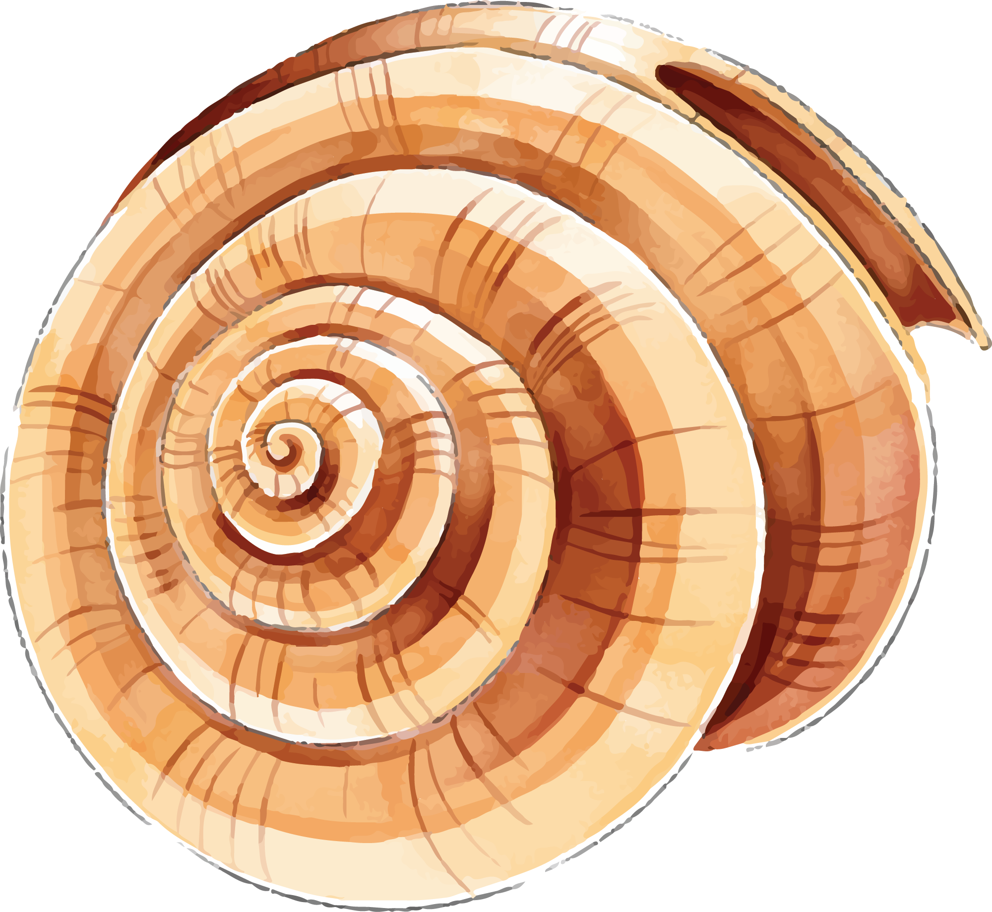 Preview for Snail-shell-closeup-summer-watercolor-sticker-76b81
