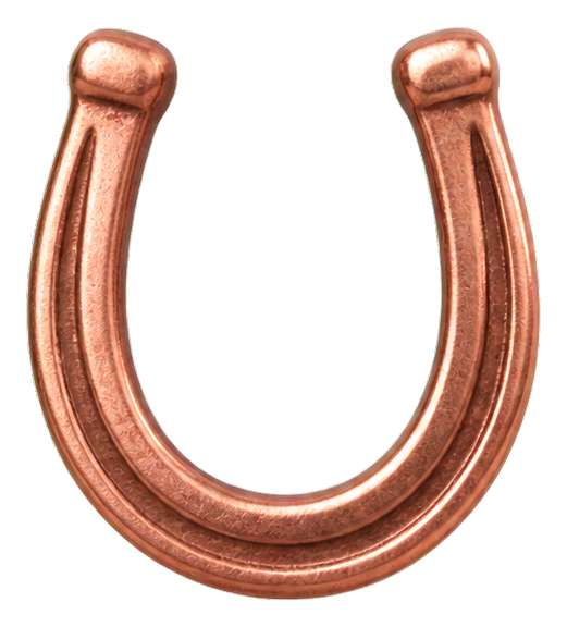 Preview for Copper Horseshoe Charm Sticker