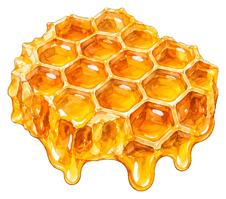 Preview for Honeycomb Piece