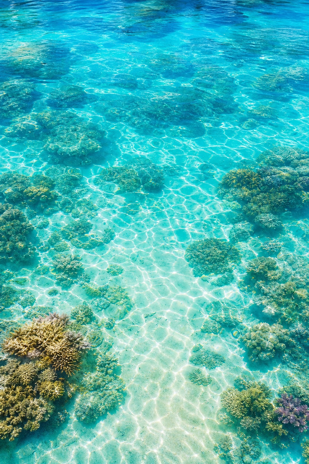 Top-down view of clear turquoise water over a coral reef lagoon.