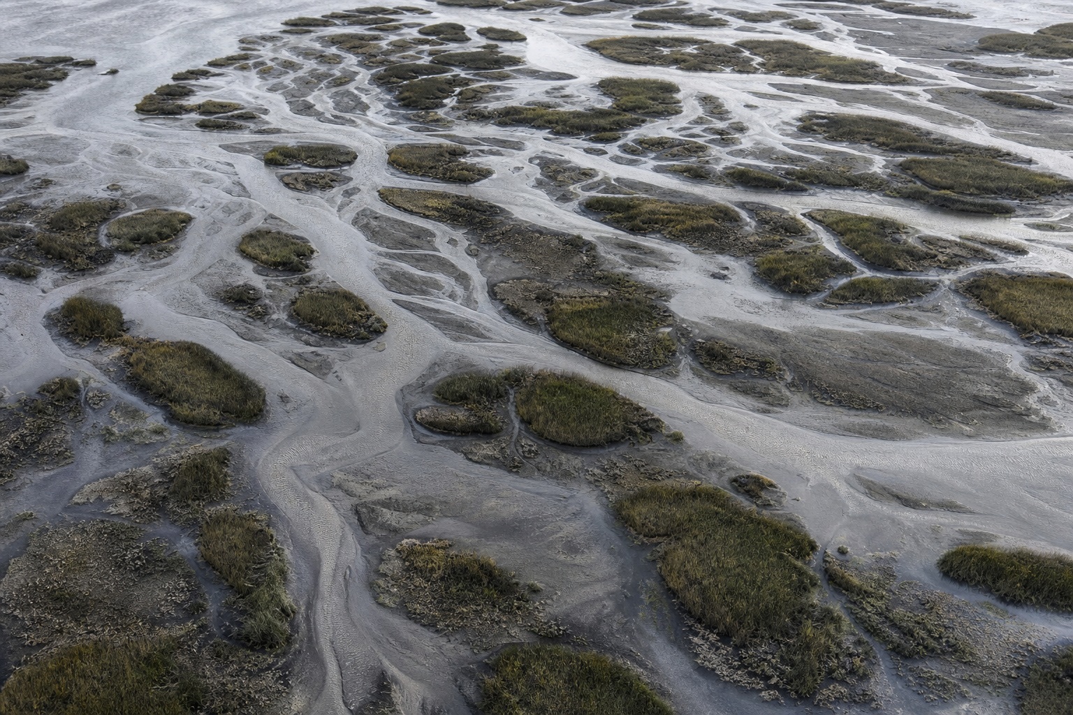 Aerial view of a river delta with winding water channels and tidal grass islands under overcast light.