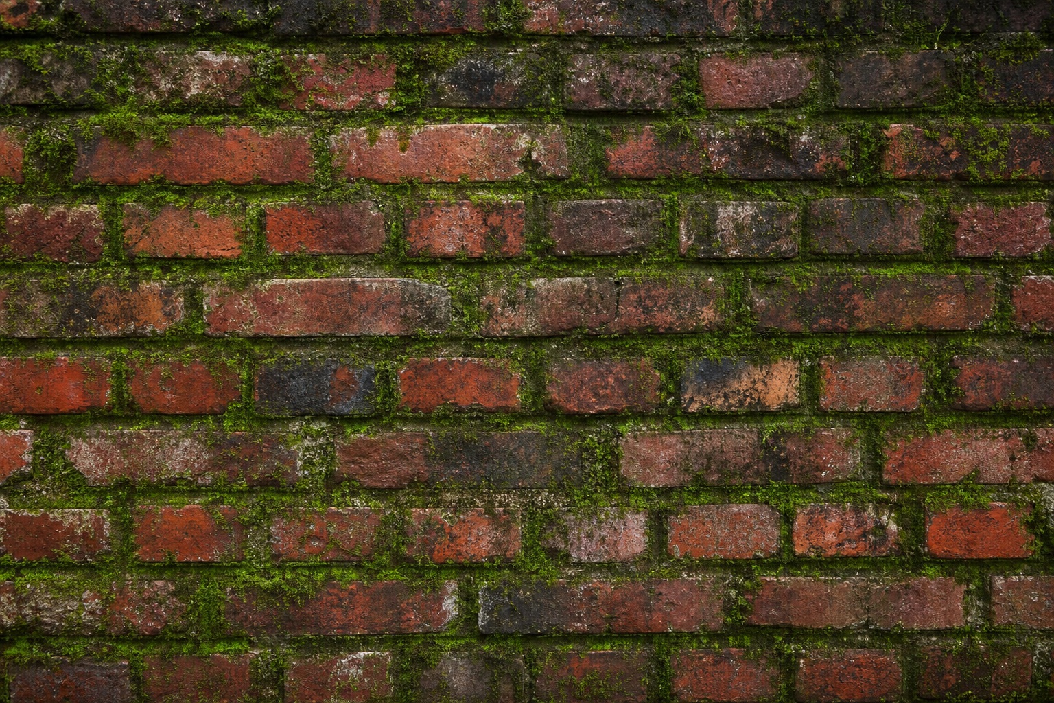 Preview for Mossy Brick Texture Background
