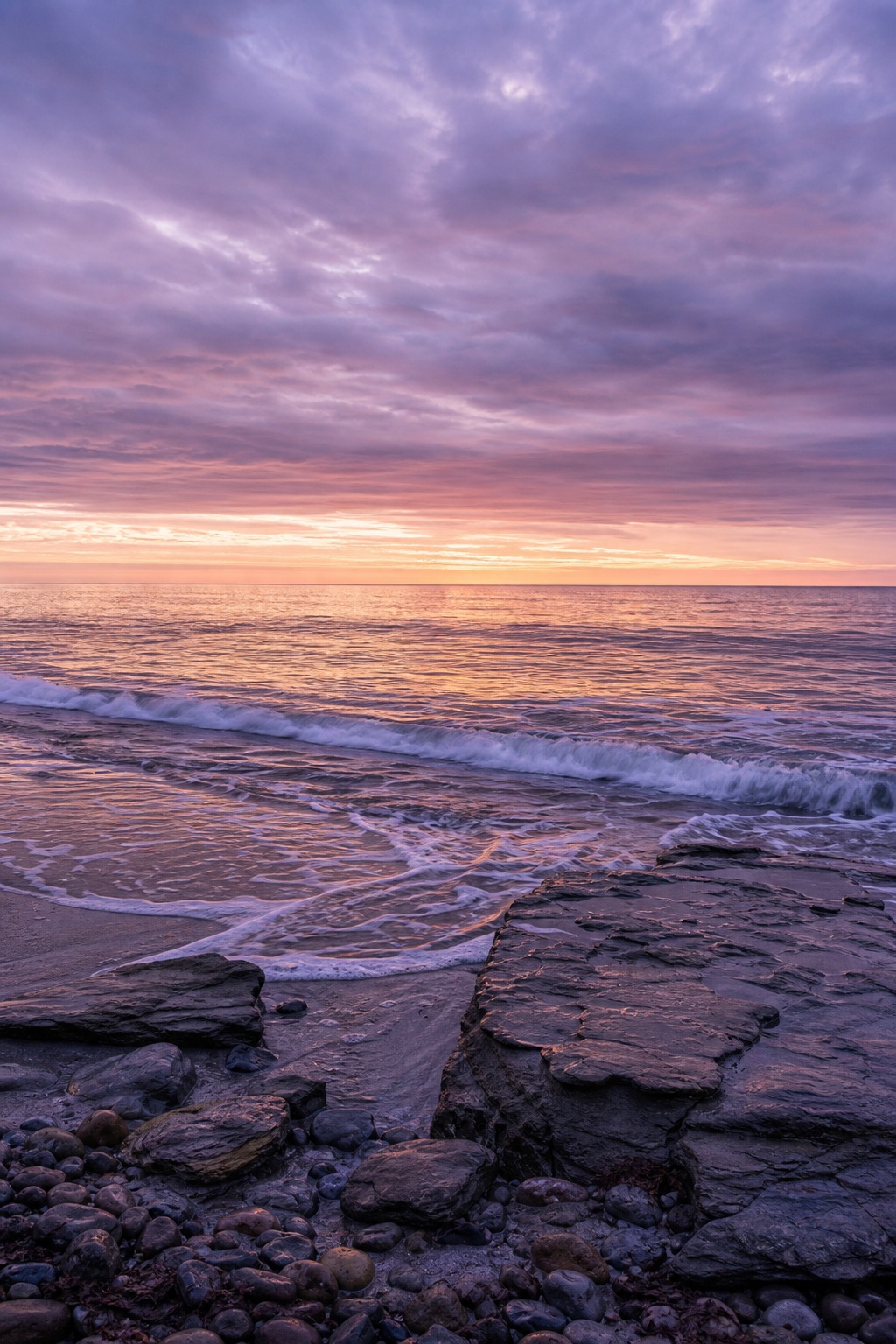 Preview for Lavender Ocean Sunrise Background