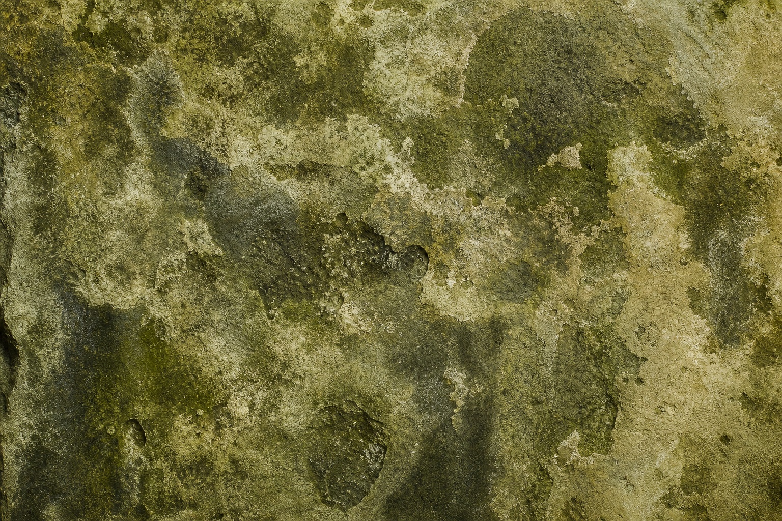 Olive-toned weathered stone surface with mottled erosion and rough texture