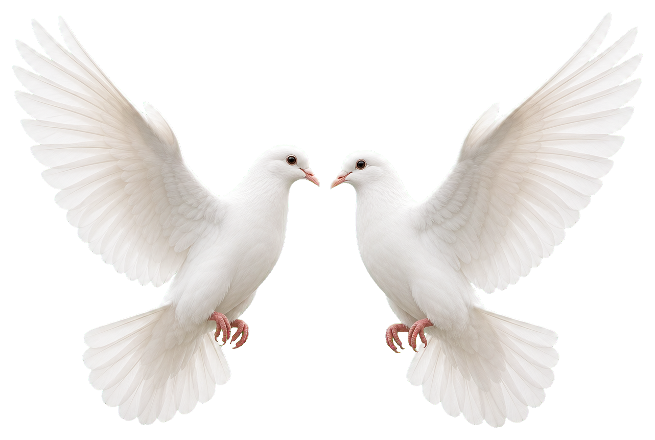 Preview for Wedding Dove Pair Sticker Graphic