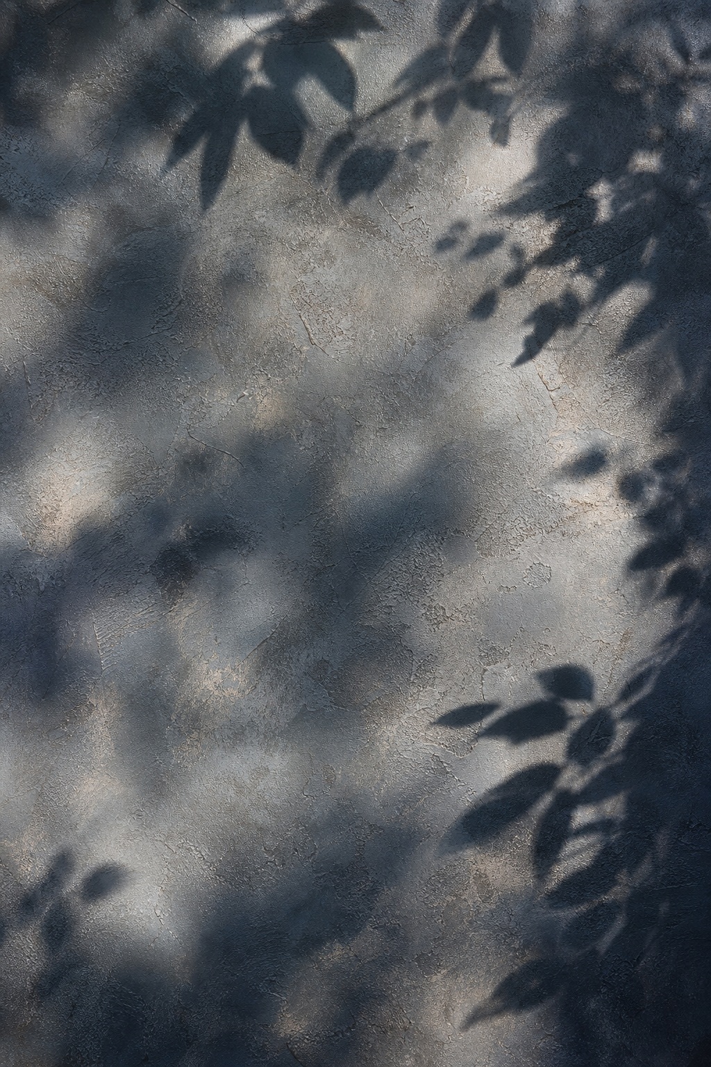 Preview for Botanical Shadow Study Background