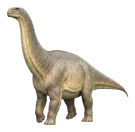 Realistic Camarasaurus dinosaur standing in a side view pose with a long neck and tail