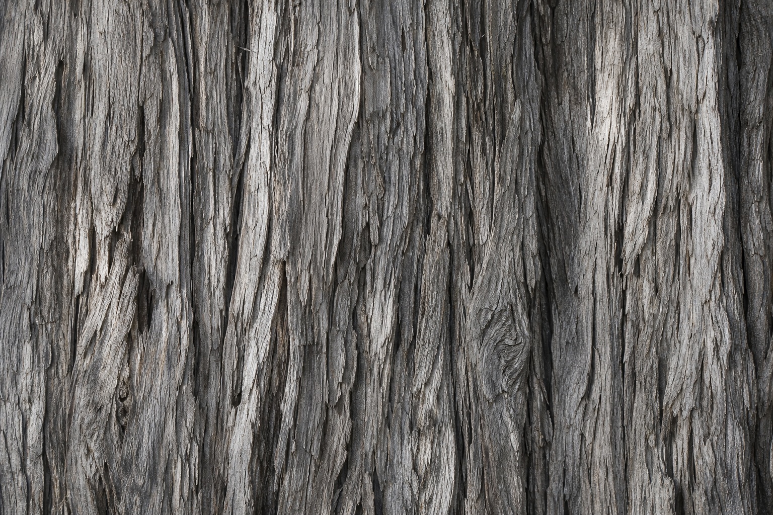 Preview for Weathered Cedar Bark Texture Background