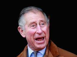Prince Charles speaking while wearing a brown coat against a dark background