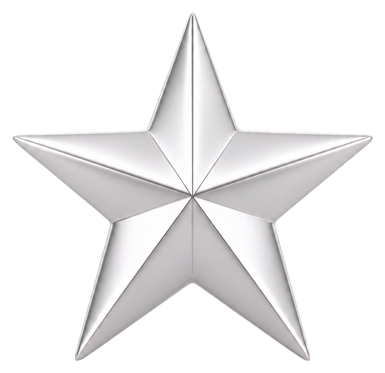A realistic silver five-point star with a shiny metallic finish.