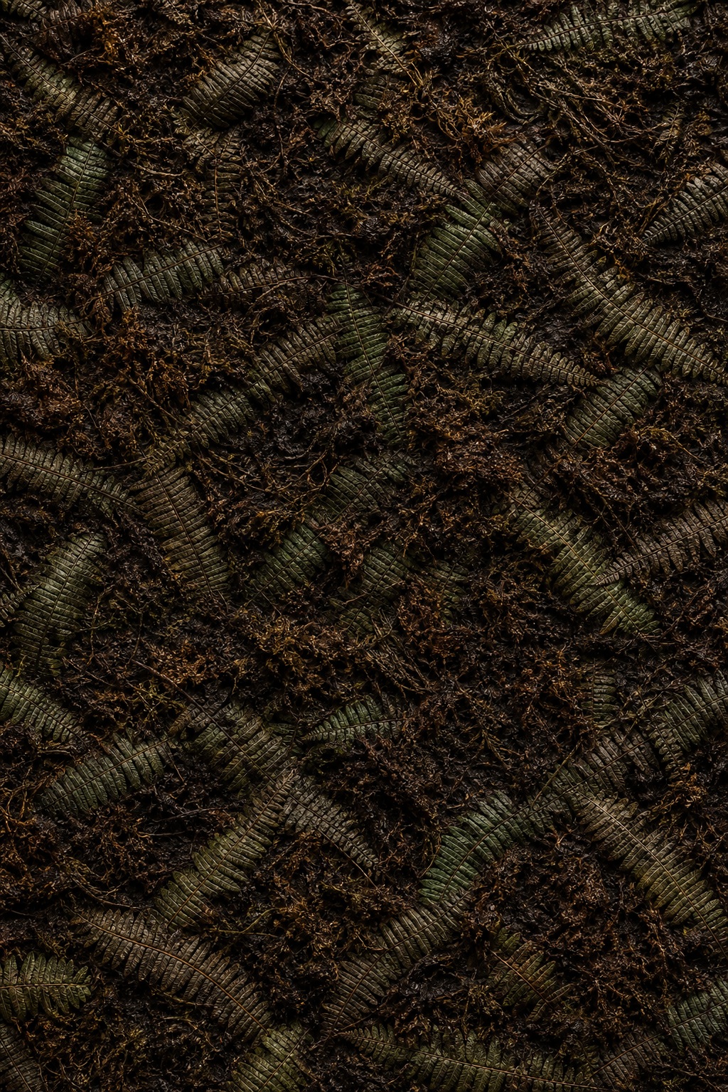 Preview for Moss Fern Texture Background