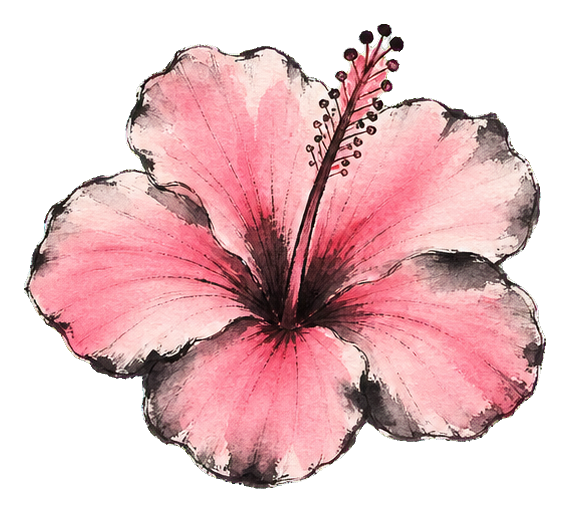 Preview for Pink Hibiscus Sticker For Tropical Designs