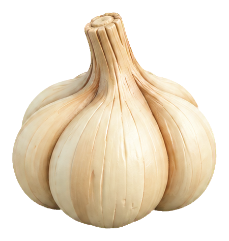 Preview for Clay Garden Vegetables Garlic
