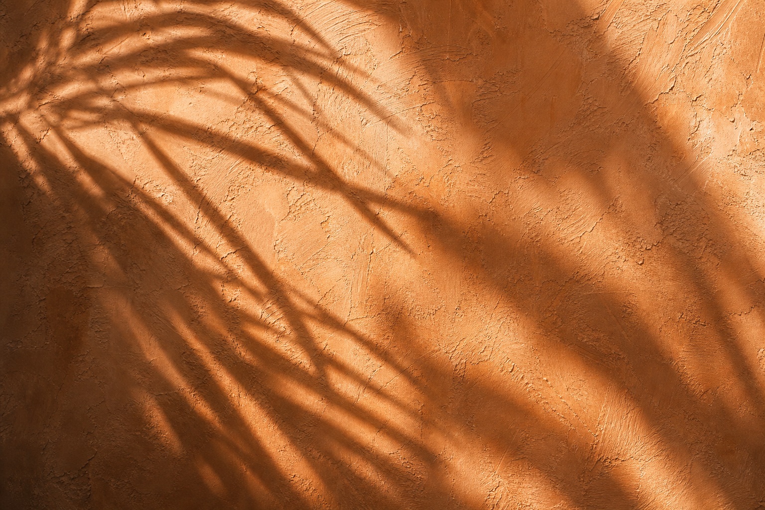 Palm leaf shadows falling across a warm plaster wall