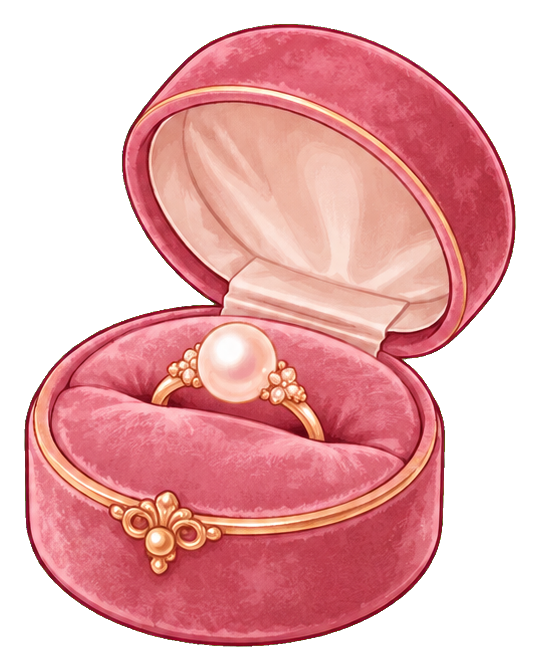 Preview for Coquette Velvet Jewelry Box