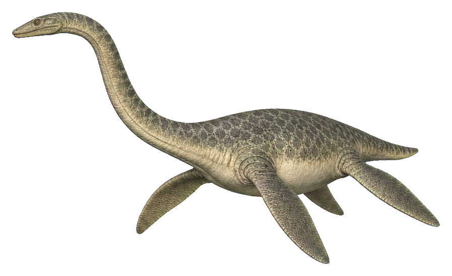 Preview for Four-flipper Plesiosaurus Sticker