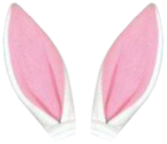 Preview for Pink-bunny-ears-headband-sticker-5c565