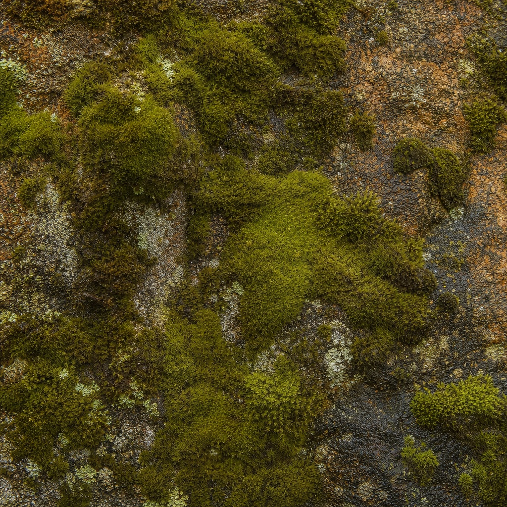 Close-up of moss-covered stone with green organic texture and uneven surface