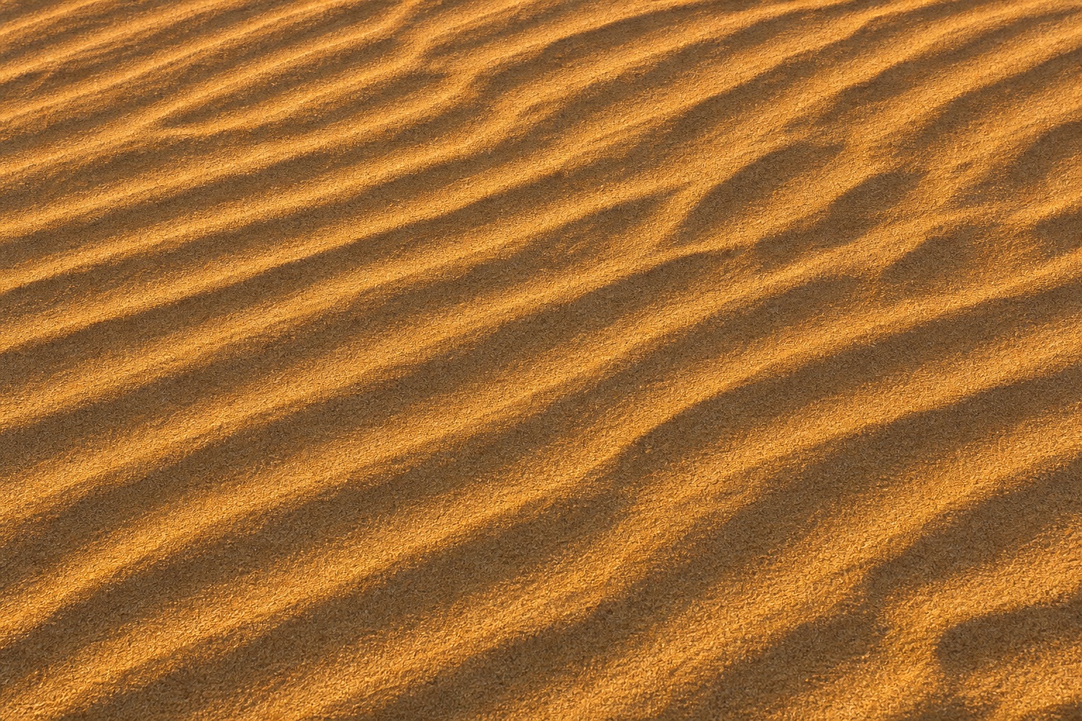 Preview for Golden Ochre Sand Ripple Background