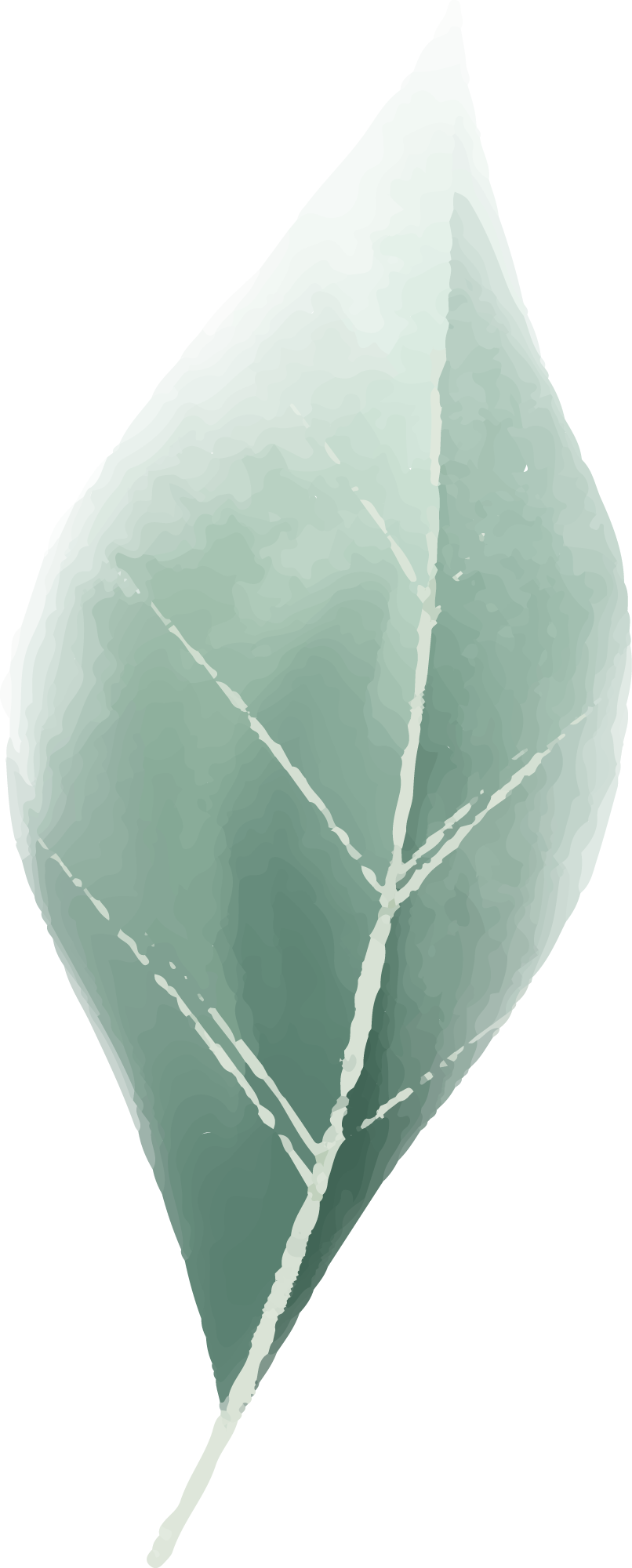 Preview for Watercolor-leaf-illustration-spring-sticker-a1362