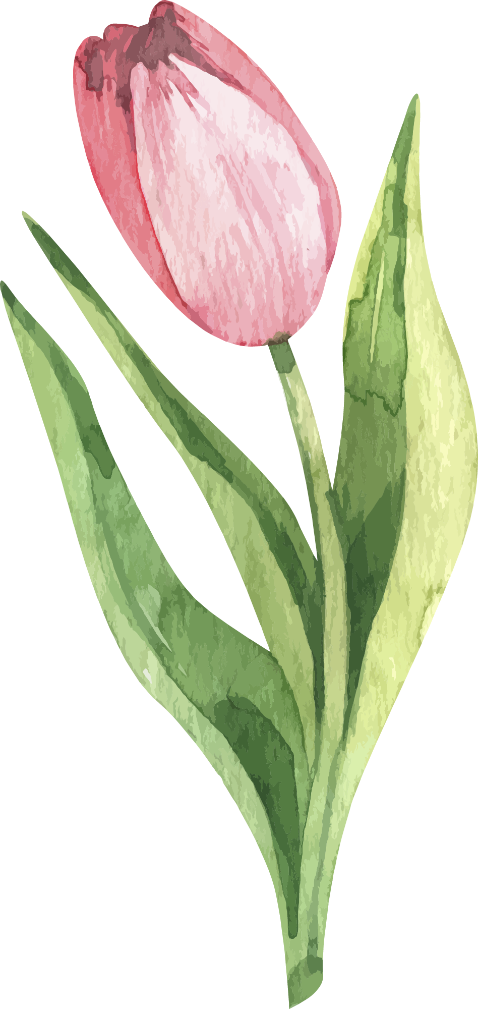 Preview for Pink-tulip-illustration-spring-sticker-35bf0