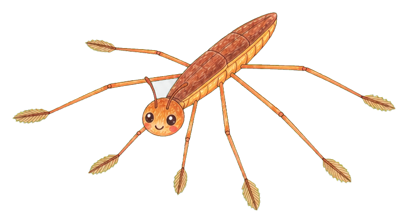 Preview for Water Strider Sticker