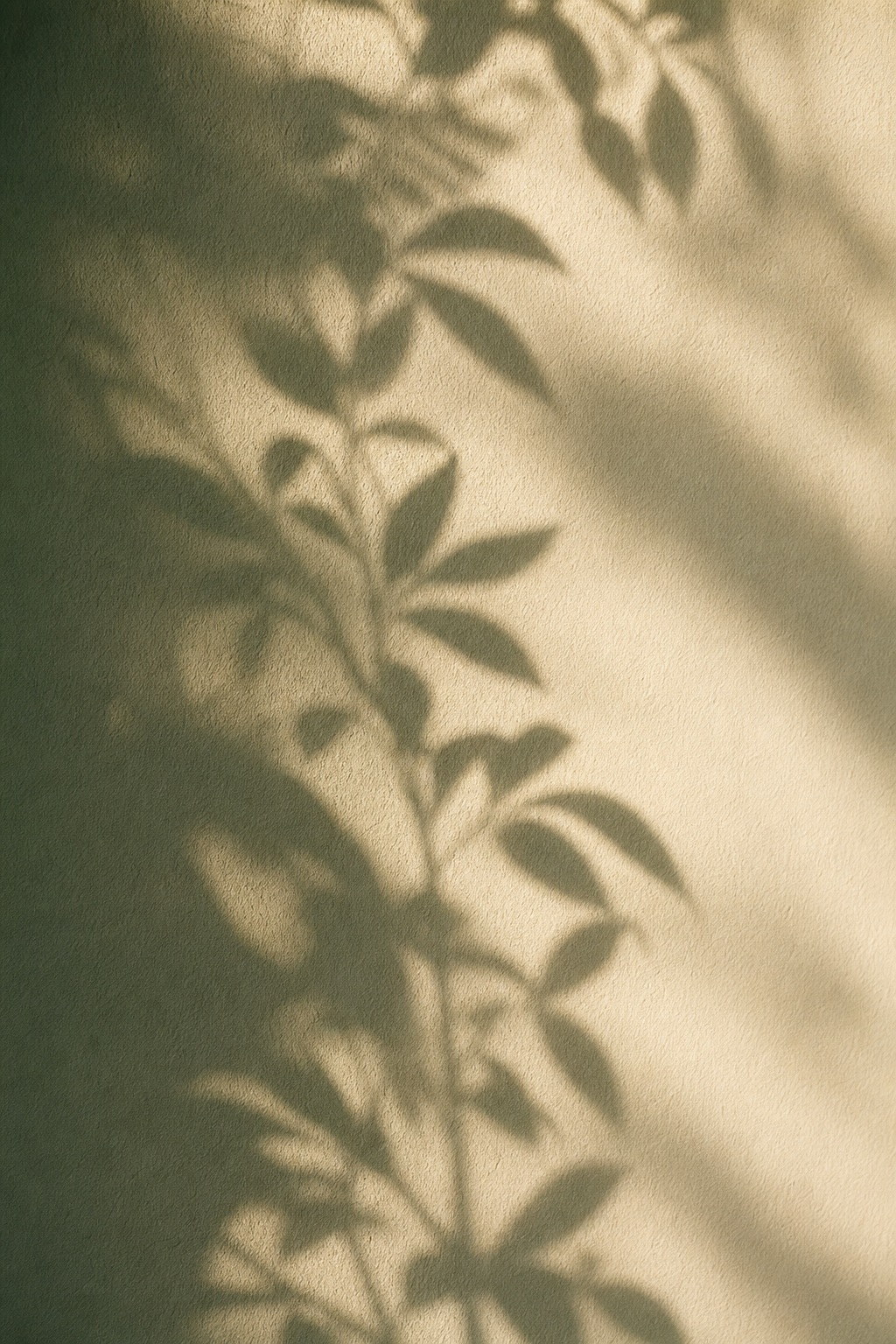 Preview for Vertical Leaf Shadow Stock Background