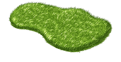 Preview for Green-microorganism-image-islandobjects-sticker-e5eec