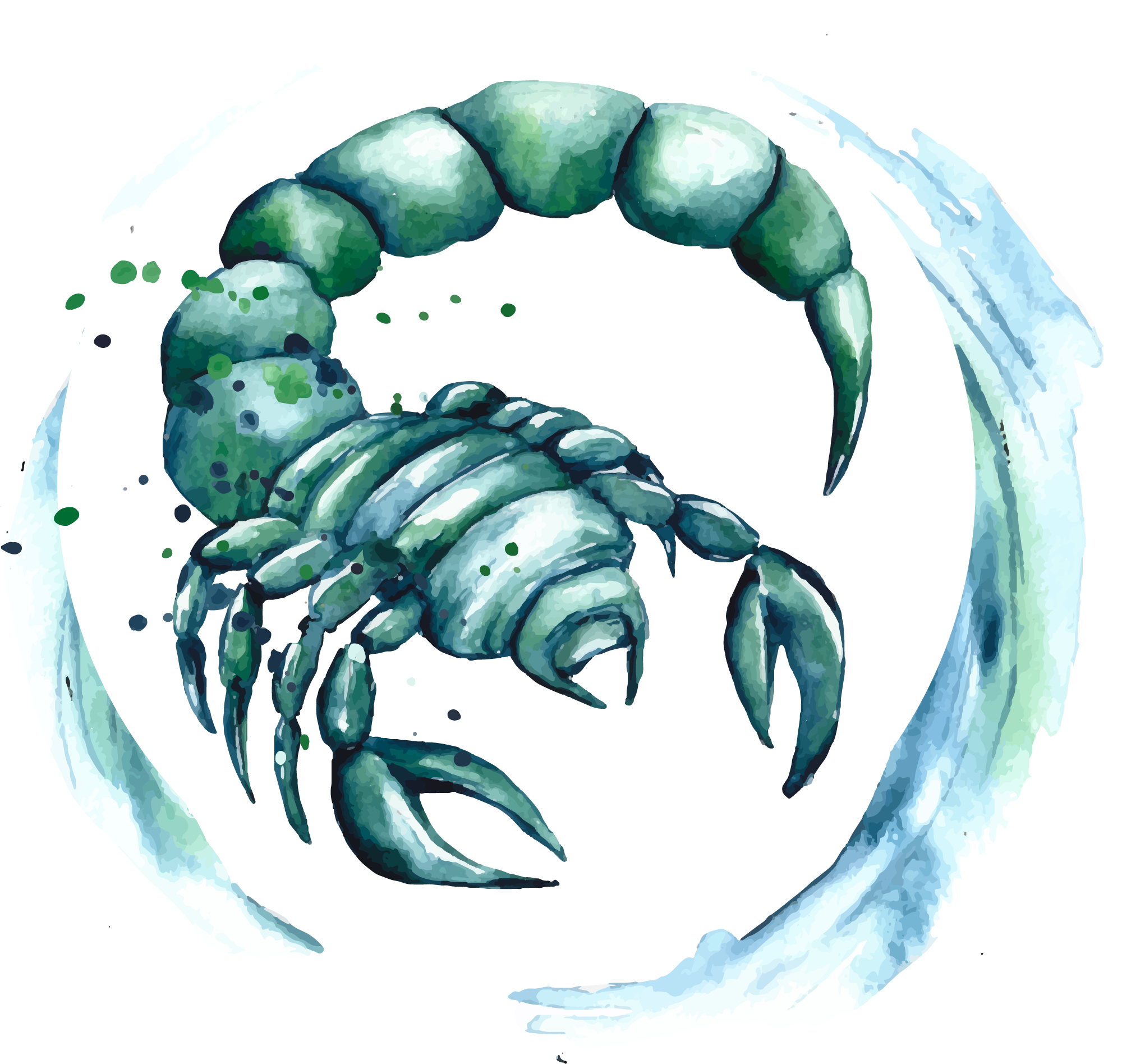 Preview for Scorpio-zodiac-watercolor-art-sticker-a0fc1