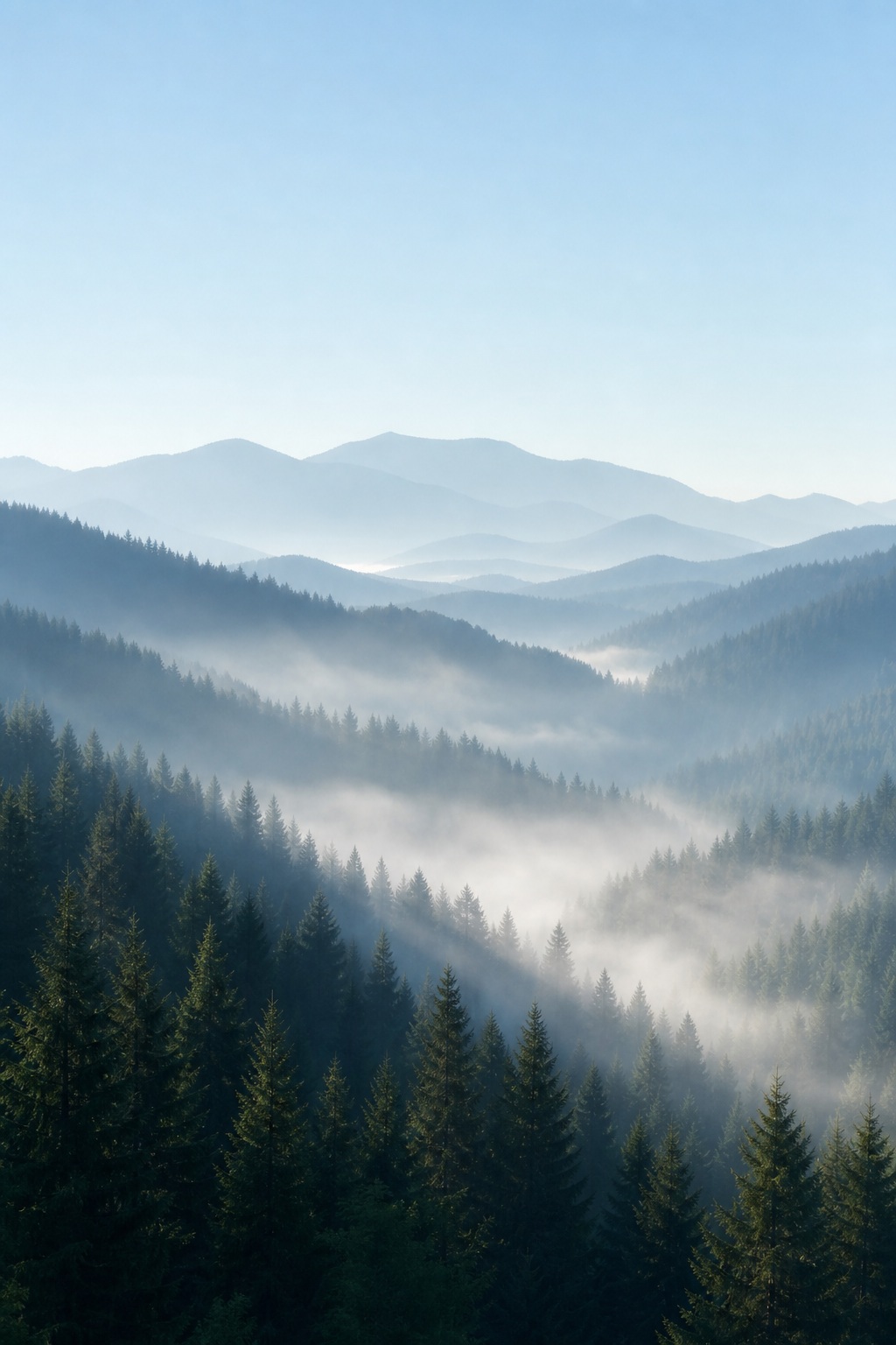 Preview for Misty Mountain Forest Stock Background