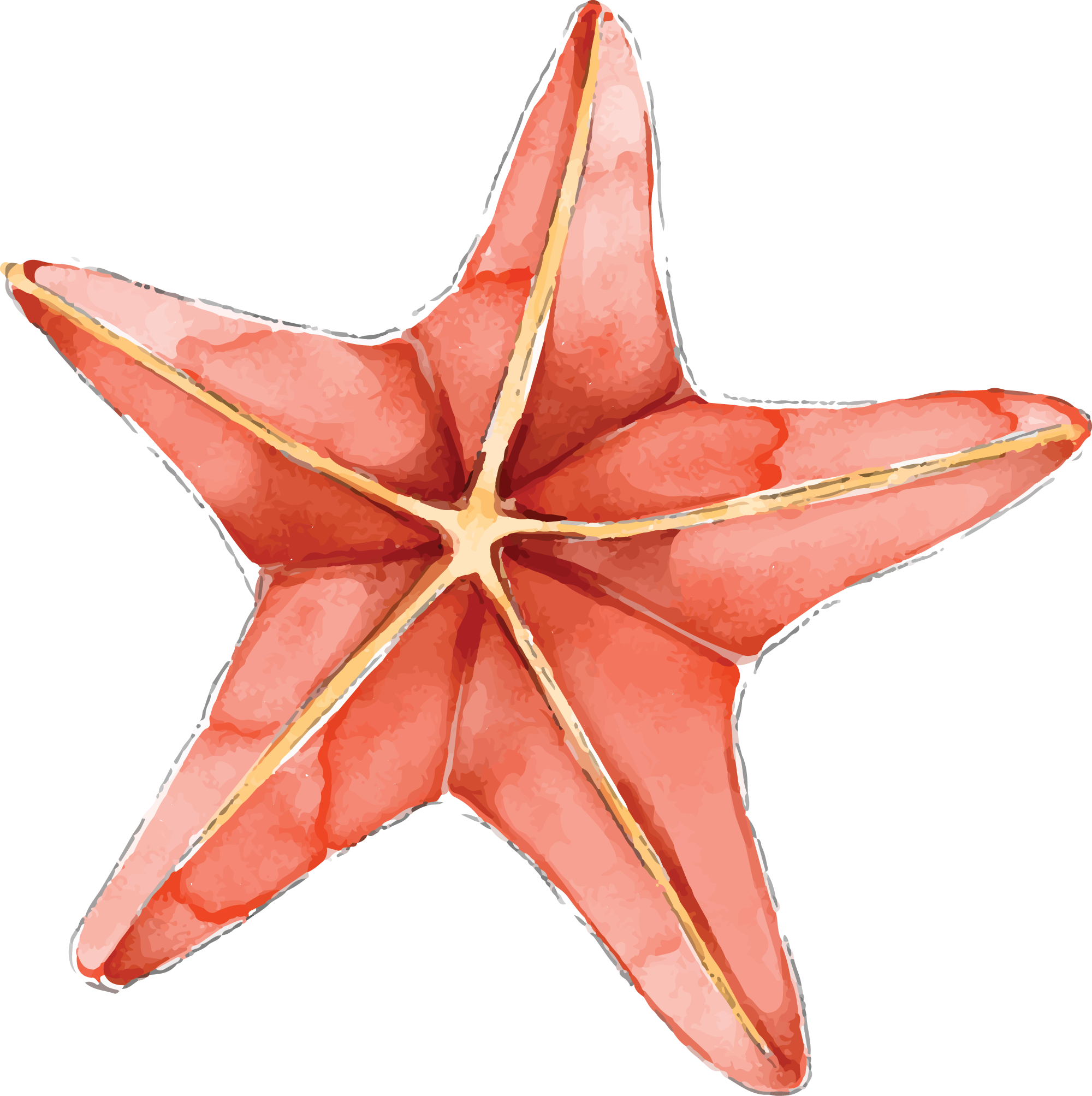 Preview for Coral-starfish-watercolor-illustration-summer-watercolor-sticker-cf469