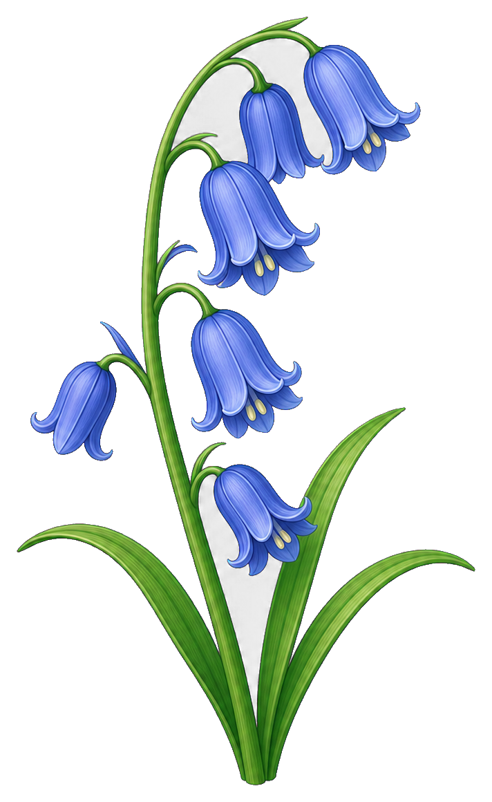 Preview for Bluebell Stem Sticker