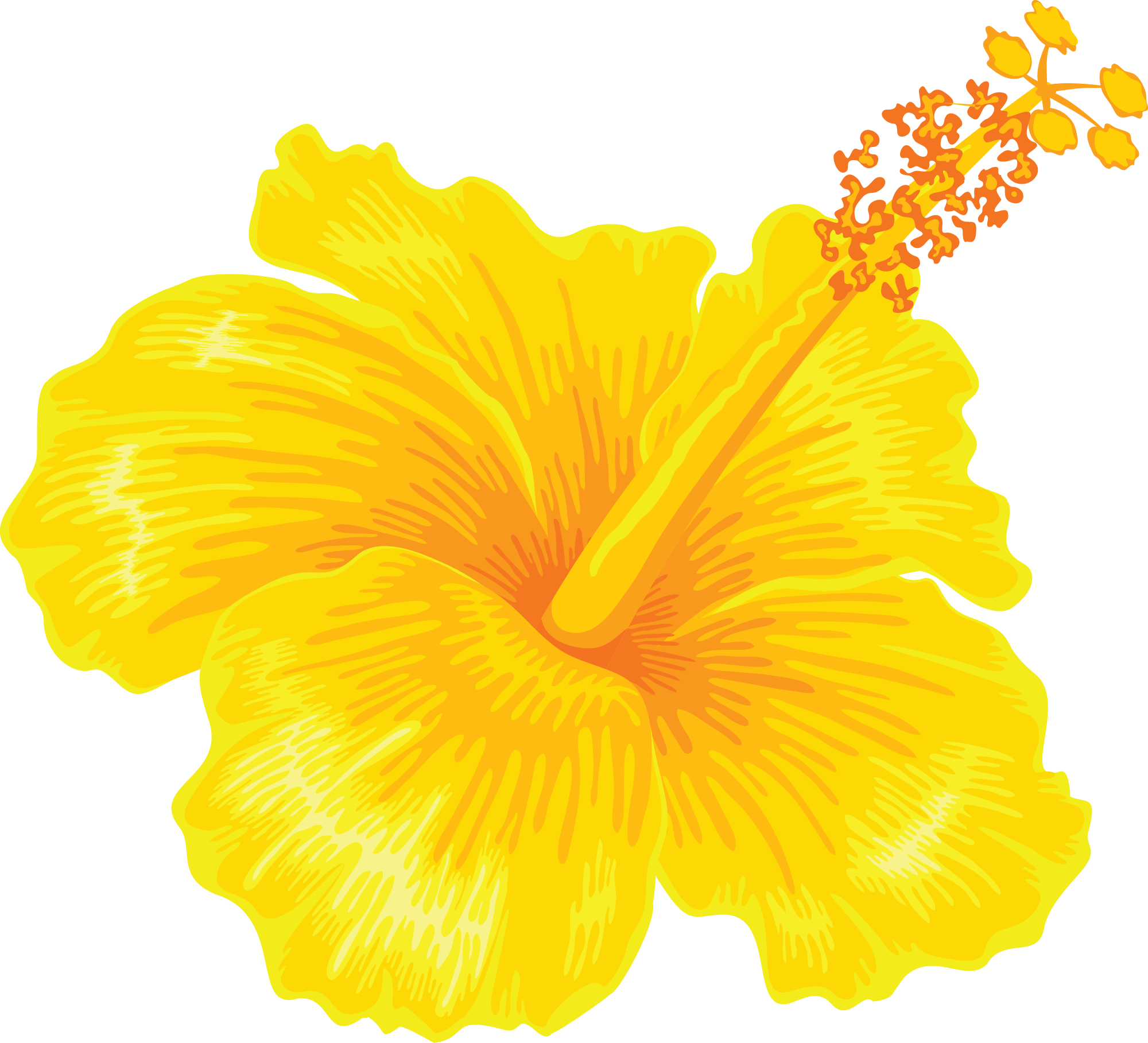 Preview for Yellow-hibiscus-flower-image-summer-sticker-12e9e