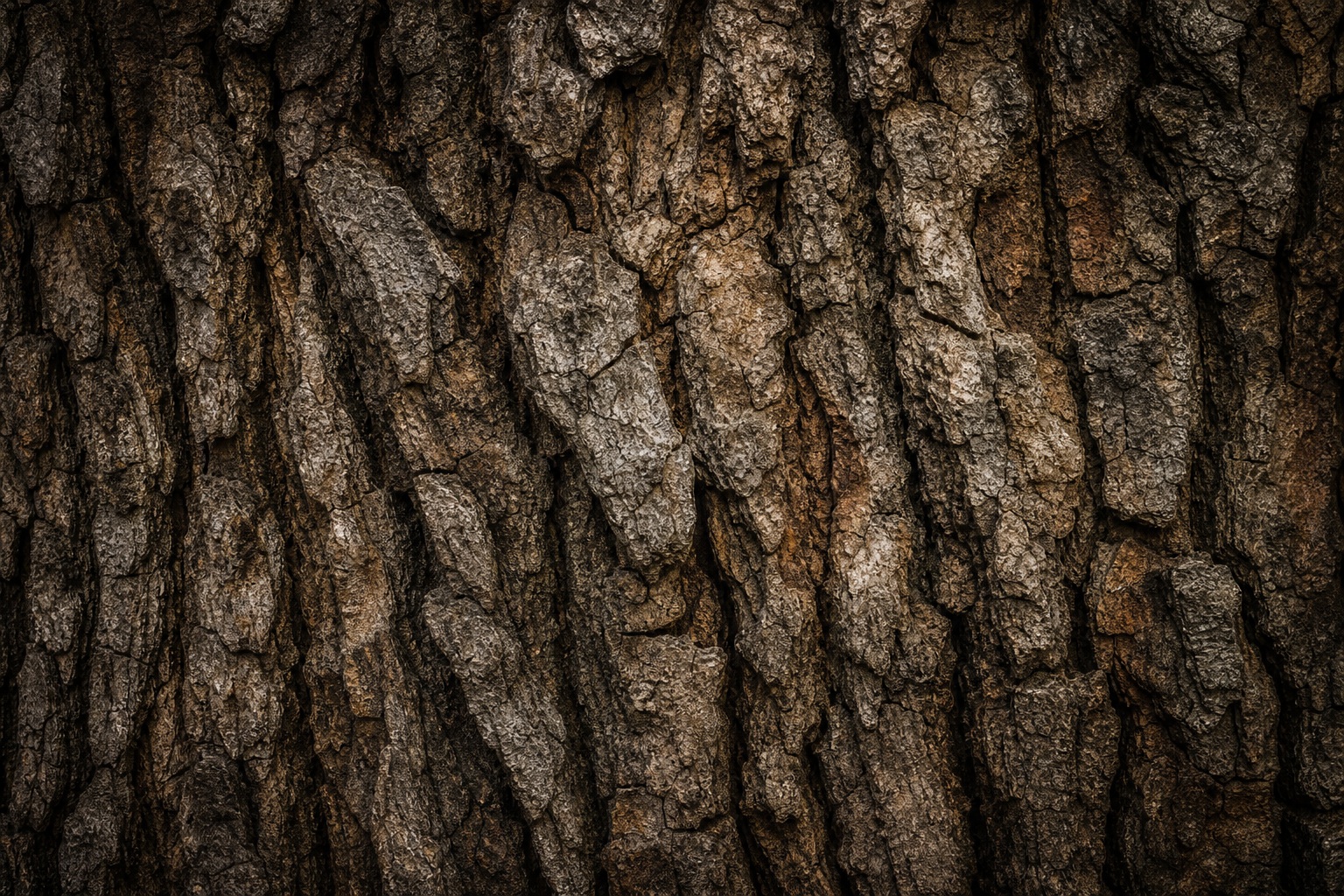 Preview for Weathered Oak Bark Texture Background