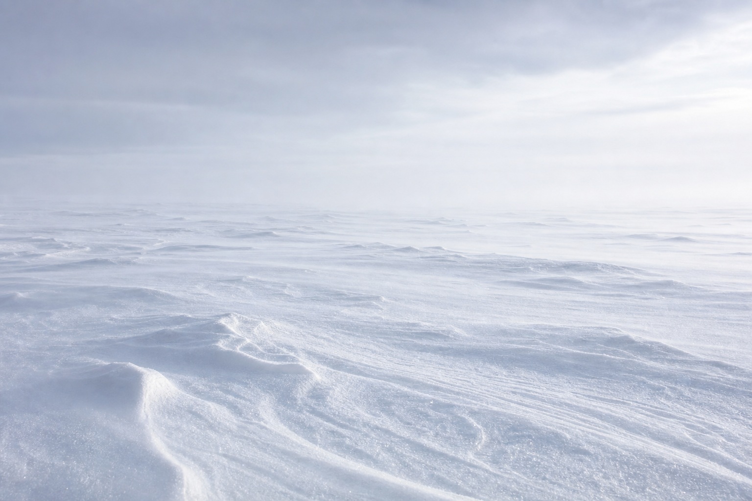Snow-covered arctic landscape with a soft white horizon and wind-swept ice
