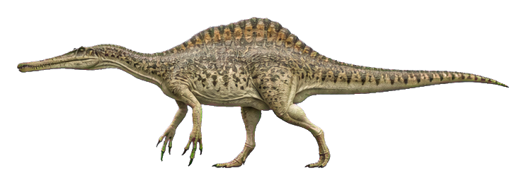 Preview for Suchomimus Wader Dinosaur Sticker