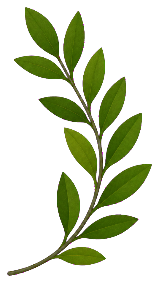 Preview for Laurel Sprig Sticker