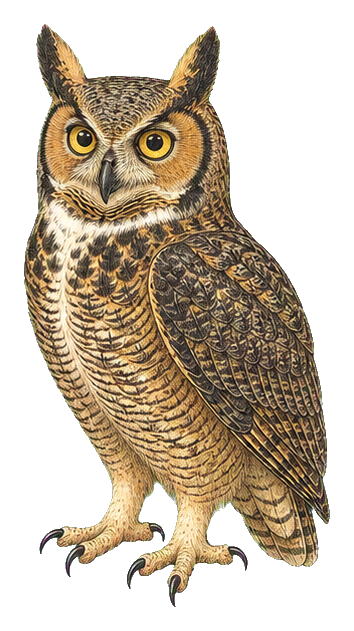 Preview for Vintage Bird Sticker For Nature Designs