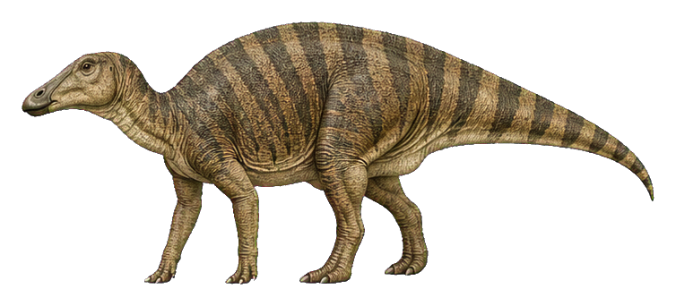 Preview for Broad-billed Edmontosaurus Sticker