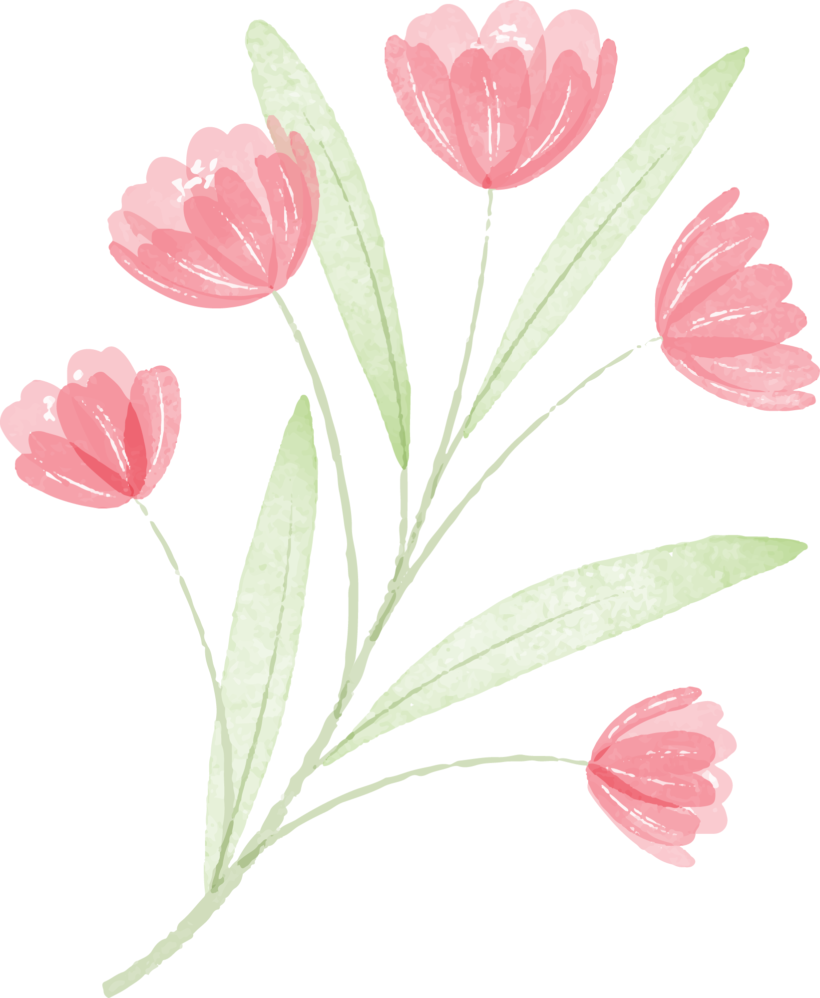 Preview for Pink-tulips-illustration-spring-sticker-52e22