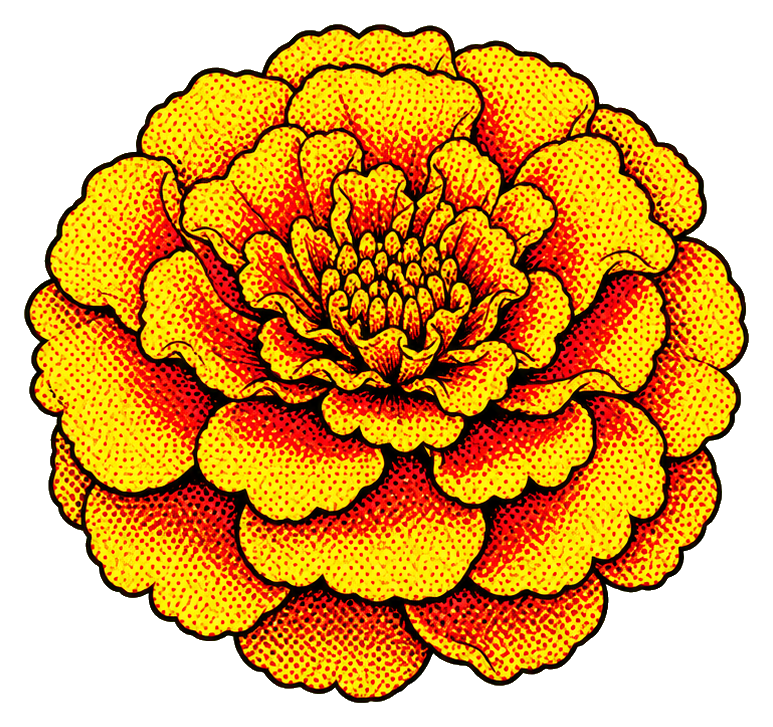 Preview for Retro Halftone Marigold Sticker