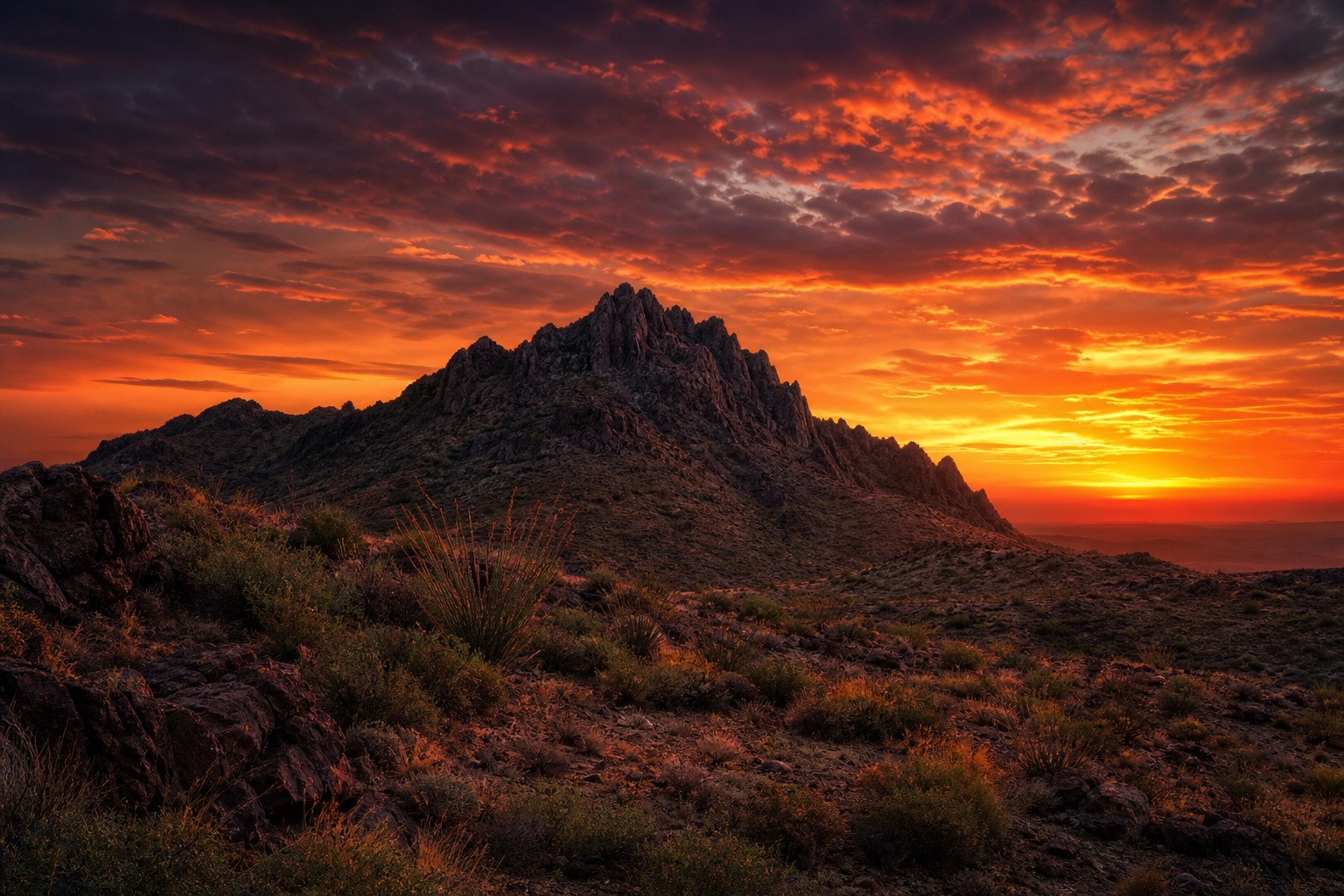 Preview for Desert Dusk Horizon Stock Background