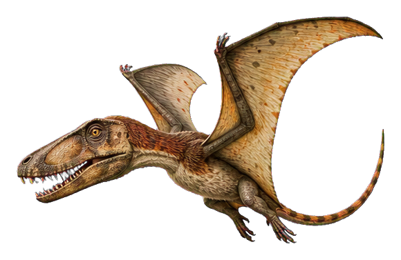Preview for Deep-skulled Dimorphodon Sticker