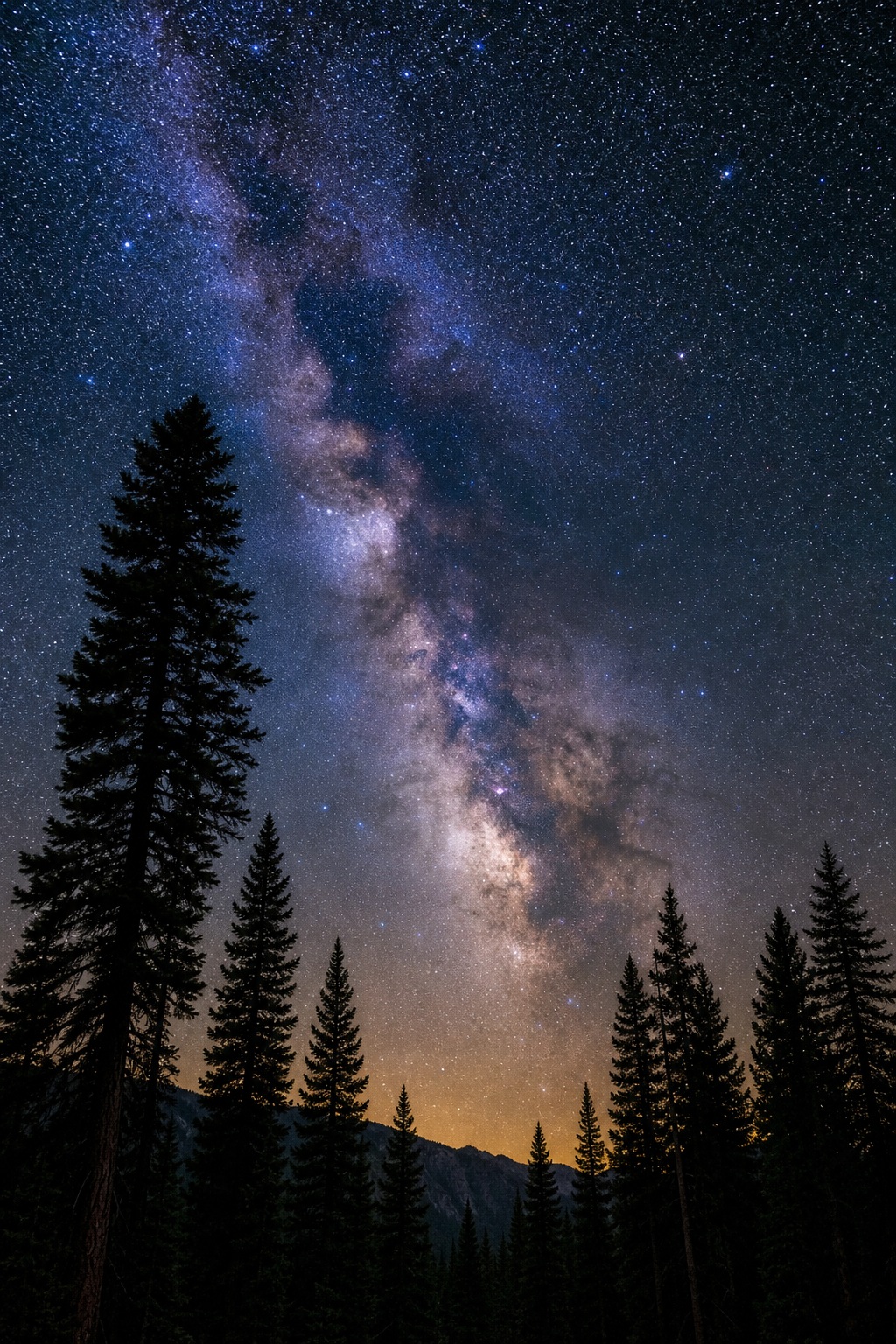 Tall pine trees silhouetted against a star-filled Milky Way night sky.