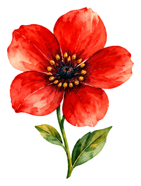 Preview for Watercolor Wildflowers Scarlet Flax