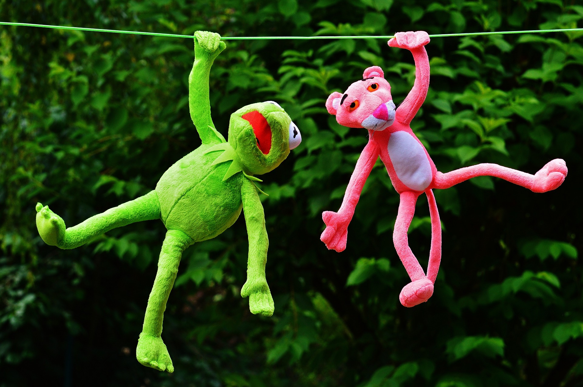 Preview for Kermit-piggy-wire-adventure-animal-meme-background-9f753