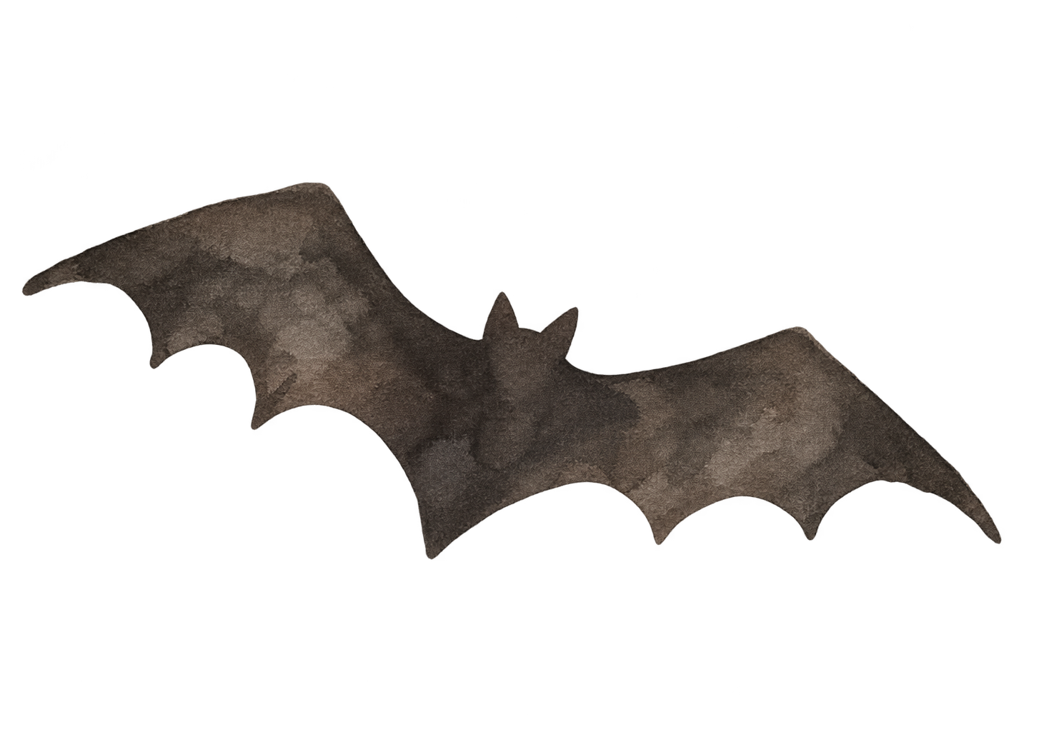 Preview for Charcoal Folk Watercolor Flying Bat